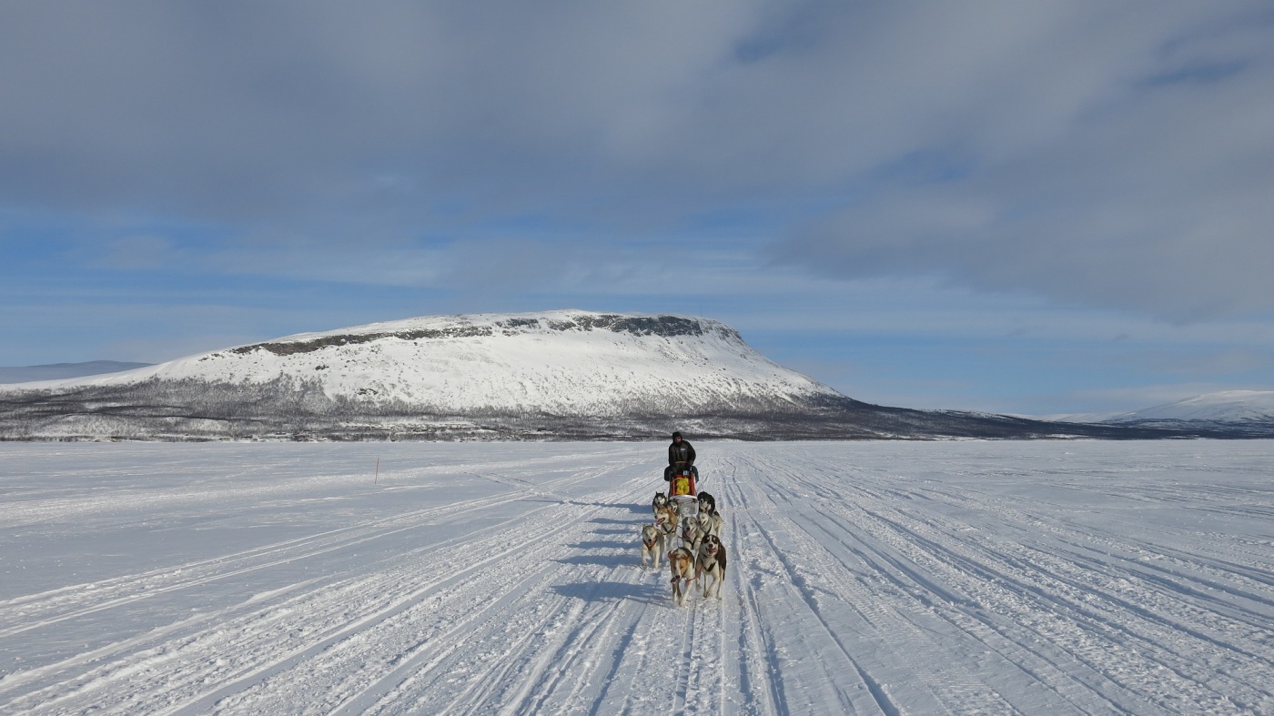 4. LapoDska Odyseja 2015