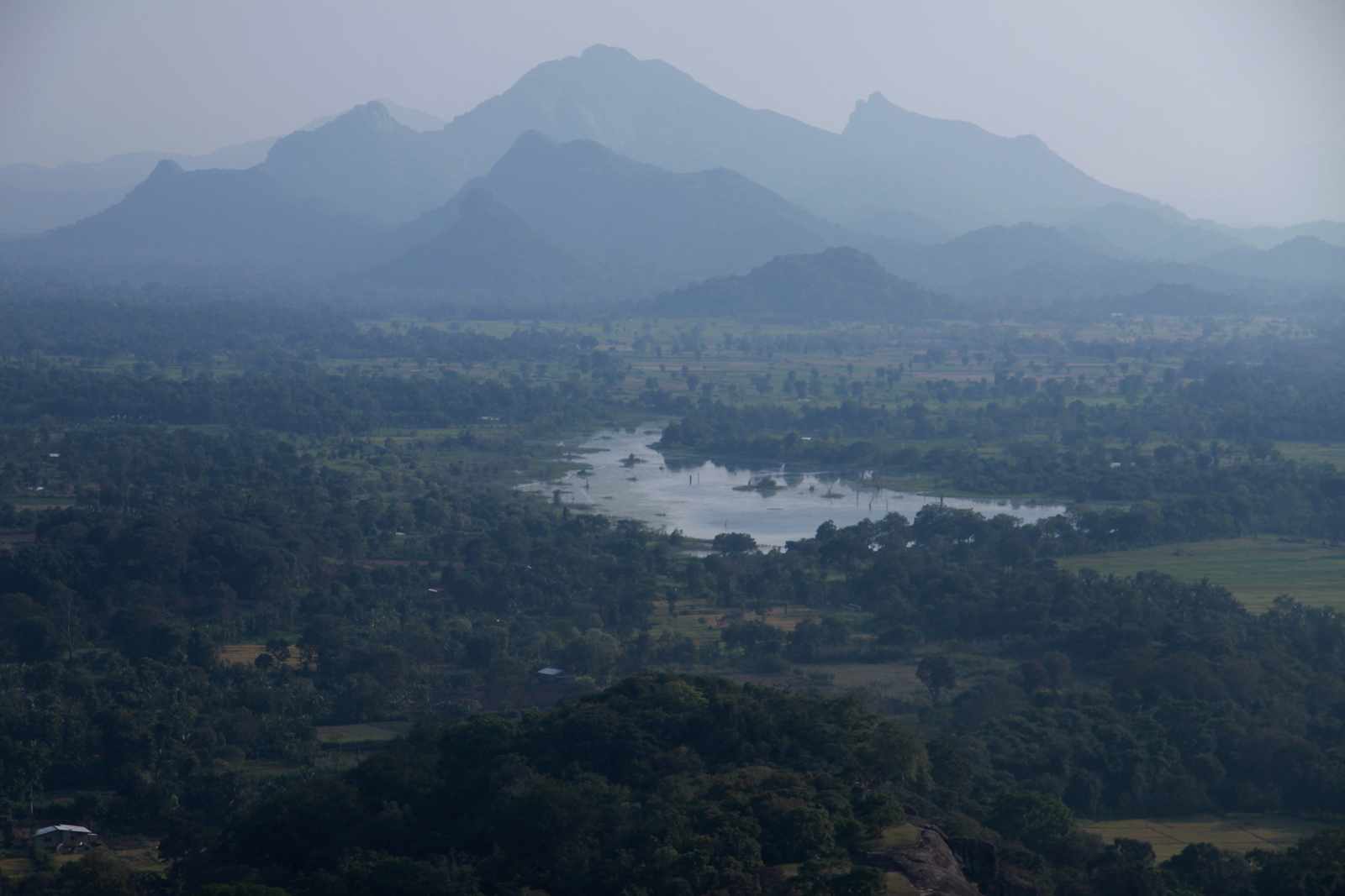 Sigiriya 4